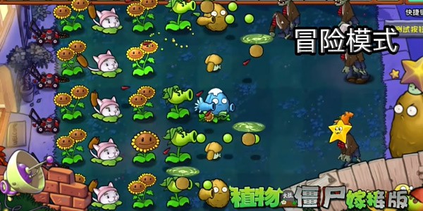 植物大战僵尸嫁接版 v1.0