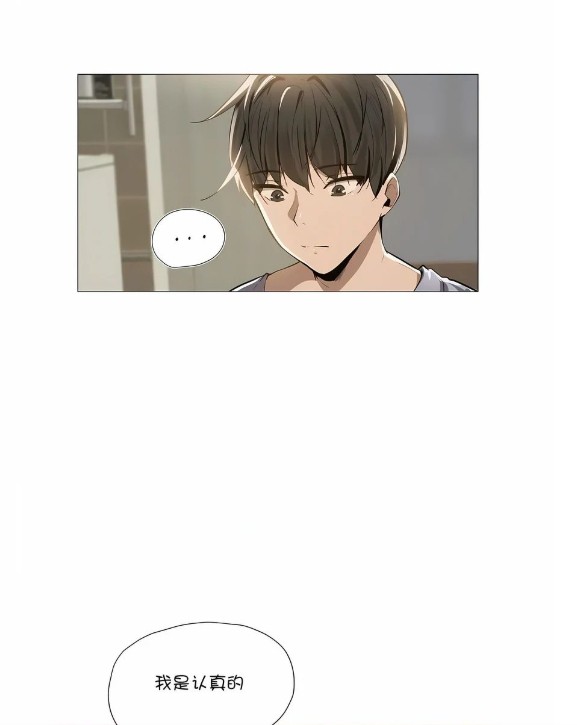 职场与情感的交织:女社长与司机的故事